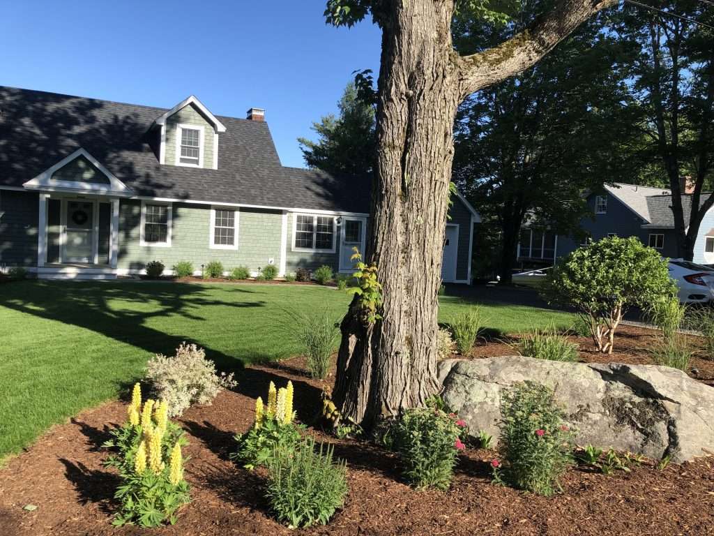 Professional landscape design and planting installation featuring natural boulders, mature shade trees, flowering perennials, fresh mulch beds, and lush green lawn at a New Hampshire home