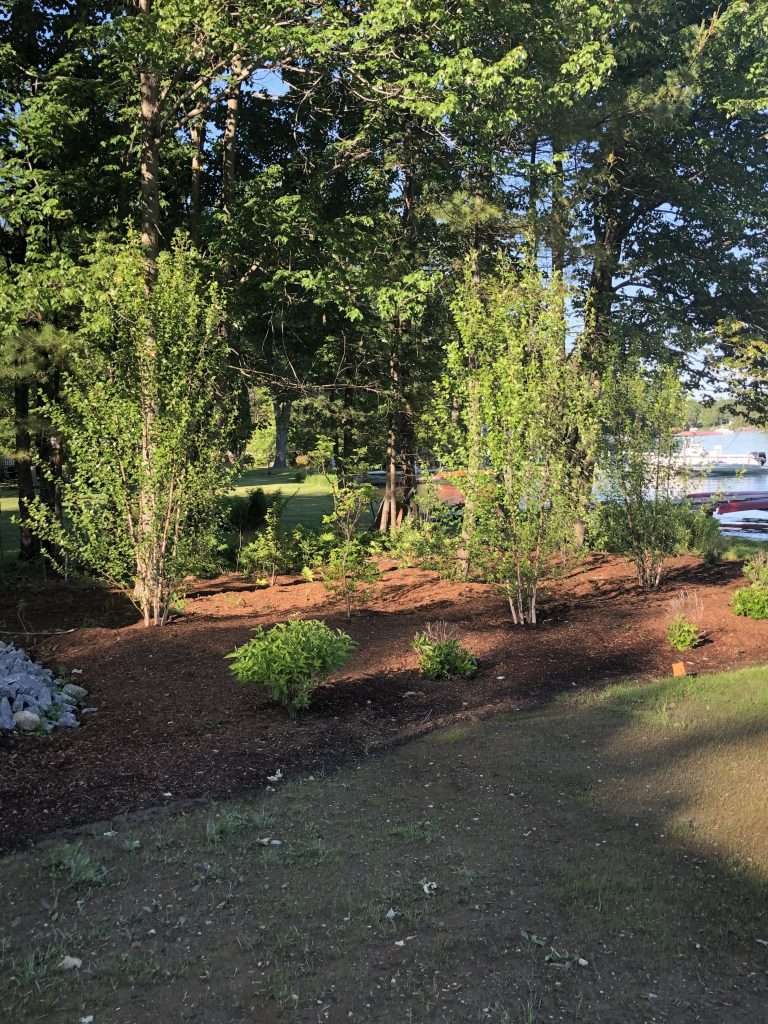 bed in low area at property line