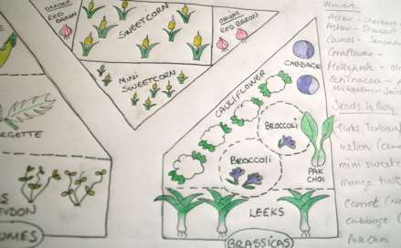 Hand-drawn garden planning and landscape design sketch showing planting layout, walkway placement, outdoor living areas, and custom landscape concepts for a New Hampshire property