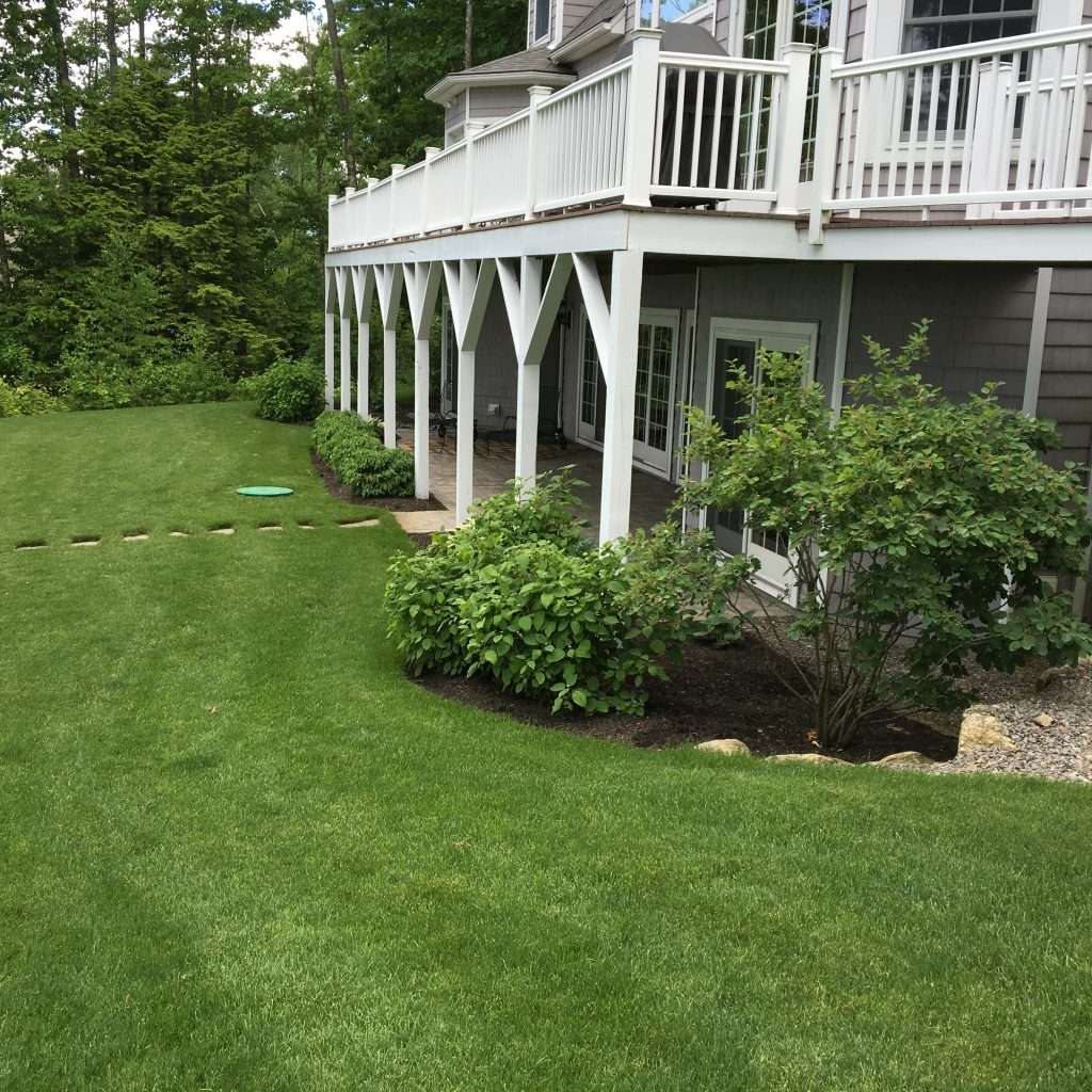 backyard mulch beds and privacy plantings